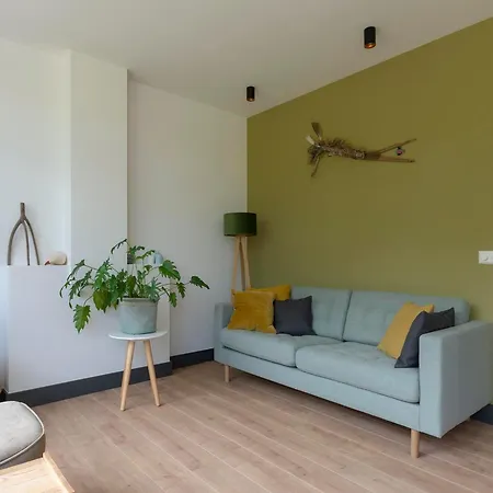 度假居 Modern With Garden