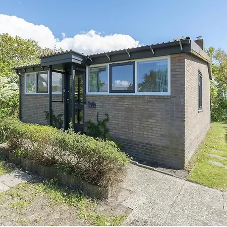Modern With Garden
