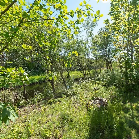 Modern With Garden Callantsoog